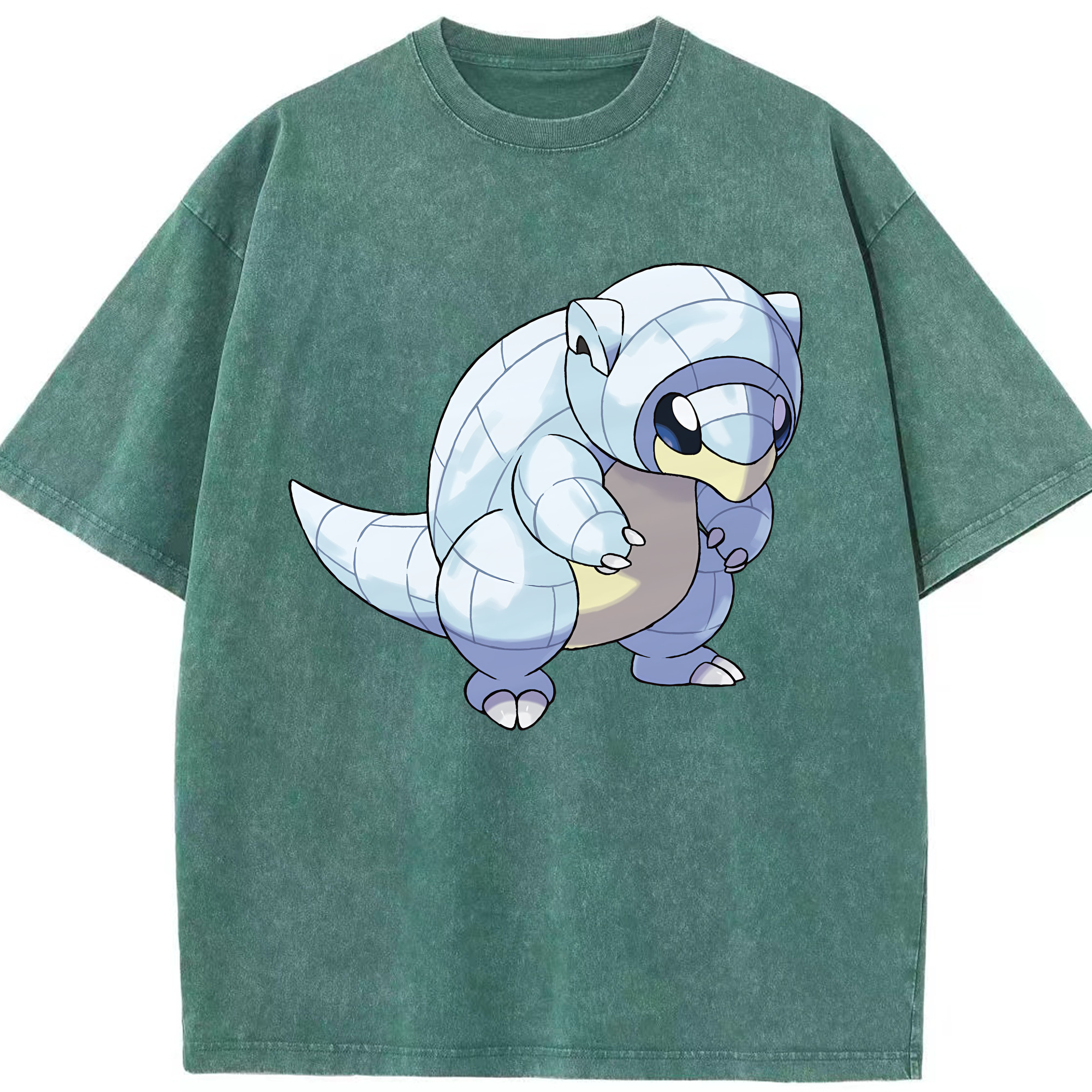 （画像用） ポケットモンスター Pokémon 綿100% ヴィンテージ風 半袖Tシャツ（フロントプリント）